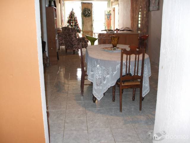 Gran terreno fertil que incluye 2 casas. — foto 5
