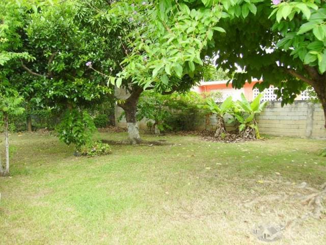 Casas En Venta Ceiba Puerto Rico Corredor — foto 3