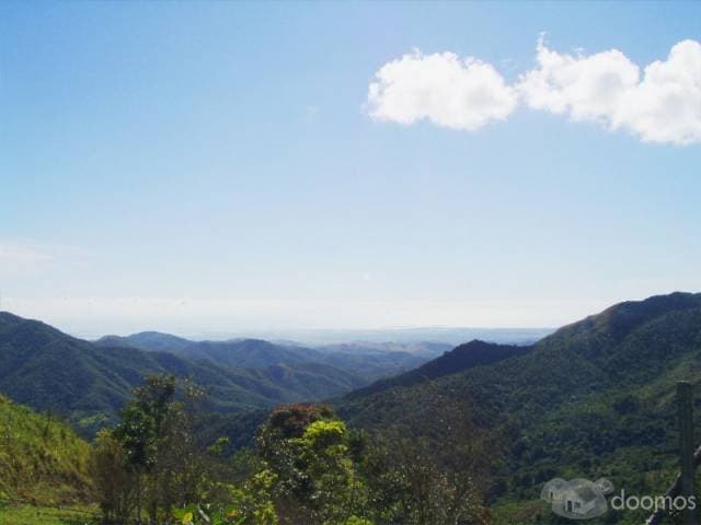 Casas En Venta Cayey Puerto Rico Corredor — foto 8
